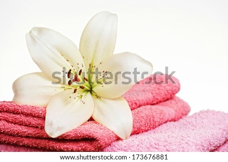 Pink towel and white lily flower, isolated on white background.