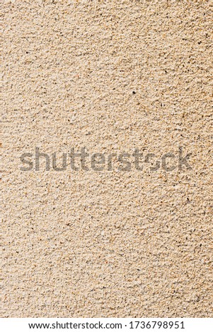 Sand texture at dawn in Thailand with large shells