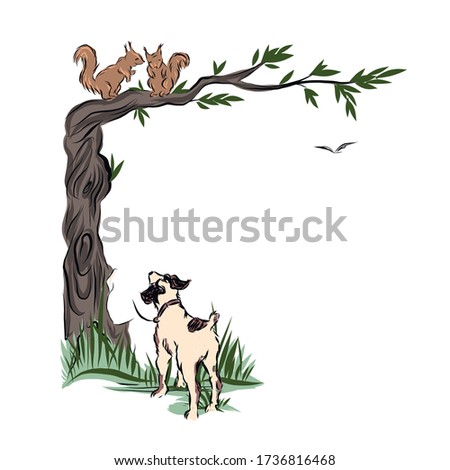 Dog looks at squirrel seated on tree branch. Pet walk outdoors. Hunting predator