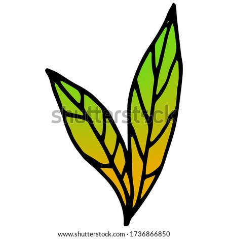 Beautiful leaves hand drawn summer illustration. Vector illustration for badge, logo, sticker, print.