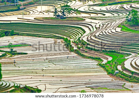 Beauty of the terraces in watering season in Y Ty, Lao Cai, Vietnam