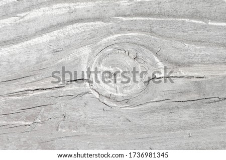 
The texture of the old pine board in pastel colors.