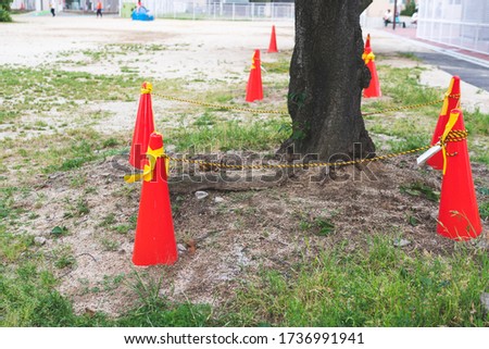 Safety cone with rope  around Sakura tree trunk at the park  , save the tree concept