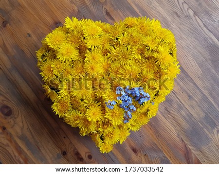 heart of dandelion flowers and pansies on a wooden background