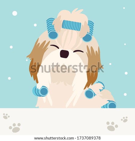 The character of cute shih tzu dog with hair curler in flat vector style. illustation about pet grooming for graphic,content , banner, sticker label and greeting card.