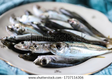 raw fresh fish on a platter horse mackerel