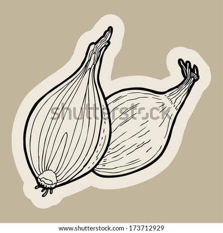 Red onion cartoon vector.