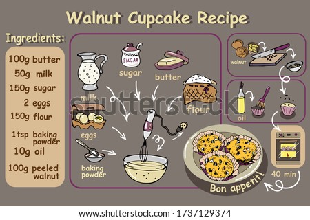  Walnut Cupcake Recipe.Ingredients- butter, milk,eggs, flour, sugar,baking powder, oil, walnut. Step by step recipe in vector illustration.