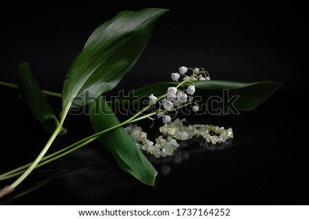May lilies of the valley and a necklace of fluorite on a dark background. Royalty-Free Stock Photo #1737164252