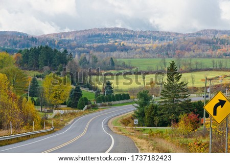 Forest road in fall time, Quebec, Canada