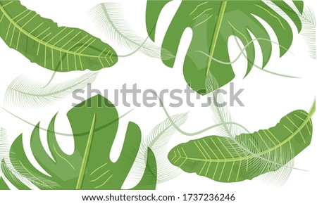 Green background of tropical leaves. Vector isolated.