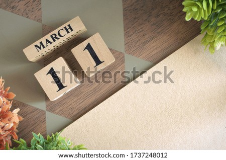 March 11, Number cube design in natural concept.