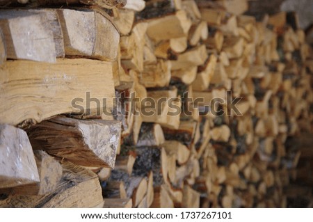 Wood logs ready for the cold winter in Valencia