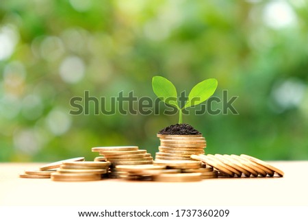 Small plant sprout with soil on pile of coins with green bokeh background, business and finance concept.