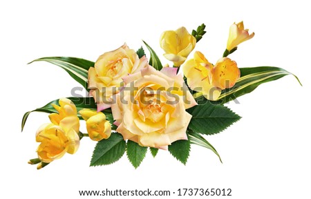 Yellow roses and freesia flowers in a floral arrangement isolated on white