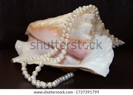 A large seashell with pearls on a dark background.