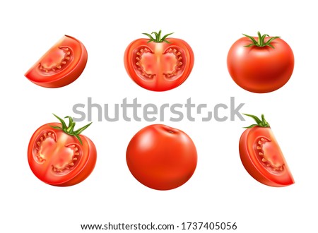 Vector red ripe tomato whole and sliced set. 3d juicy raw vegetables for healthy eating product packaging. Fresh vegeterian ingredient, organic food. Royalty-Free Stock Photo #1737405056