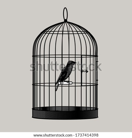 Bird sitting inside a cage. Vintage engraving stylized drawing. Vector illustration Royalty-Free Stock Photo #1737414398