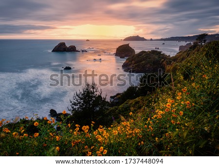 Sunset at a Rocky Beach, Northern California, USA Royalty-Free Stock Photo #1737448094