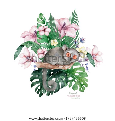Baby Mouse lemur. Hand drawn cute watercolor cartoon mouse lemur on tree with jungle leaves on white background