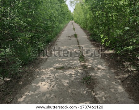 Soviet old concrete slab road in a green forest