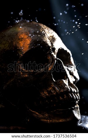 A vertical closeup shot of a skull on black background