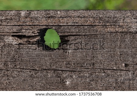 Blank wooden texture mockup with hole for display text. Copy space for sign on natural background. Old wood board backdrop surface, horizontal blurred nature wallpaper.Social media advertising banner.