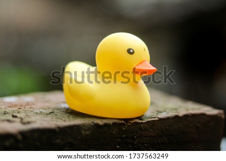 Not focused photograph of Toy yellow duck sunbathing on a brick