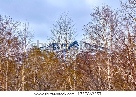 Valley with yellow grass covered with snow on a background of mountains, blue sky.