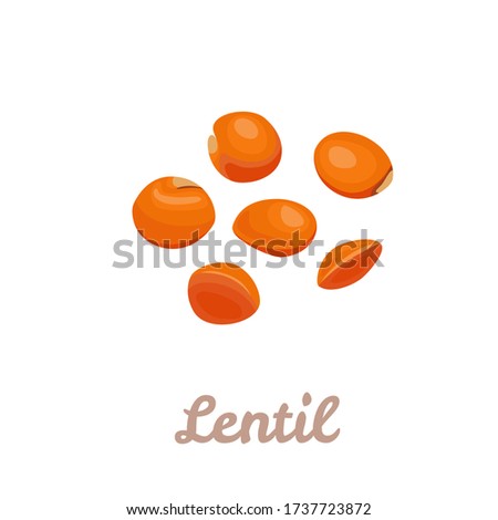 Red Lentil isolated on white background. Beans Icon. Vector illustration of legumes in cartoon flat style.  Royalty-Free Stock Photo #1737723872