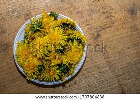 Dandelion salad in a white plate on a tree table, vegetarian food concept.