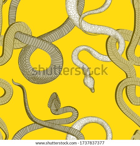 Snake vector pattern. kite on a bright yellow background. Sansevieria. Tropical animals.