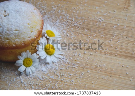 Macro picture of home made muffin with white powder on wooden background and small chamomile flowers on the side as decoration with copy space and food photography concept with close up objects 