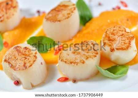 grilled scallops with pumpkin sauce and basil leaves close-up
 Royalty-Free Stock Photo #1737906449