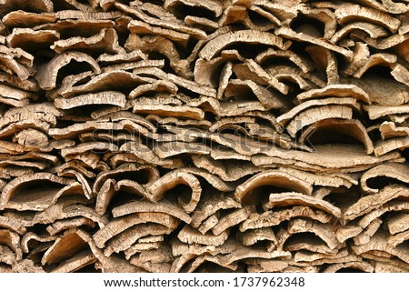 Stack of harvested cork bark planks stripped from cork oak tree (quercus suber) and stacked on pallet at cork farm Royalty-Free Stock Photo #1737962348