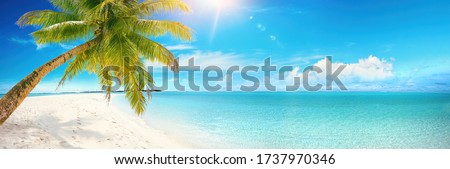 Beautiful tropical beach with white sand, turquoise ocean on background blue sky with clouds on sunny summer day. Palm tree leaned over water. Perfect landscape for relaxing vacation, island Maldives.