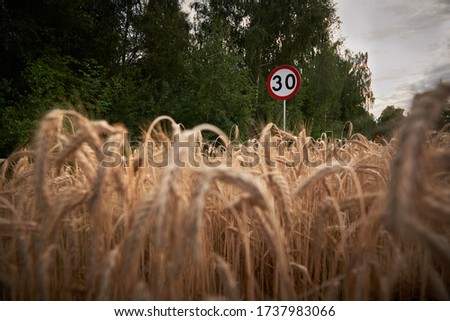 Sign informing about speed limit on the road