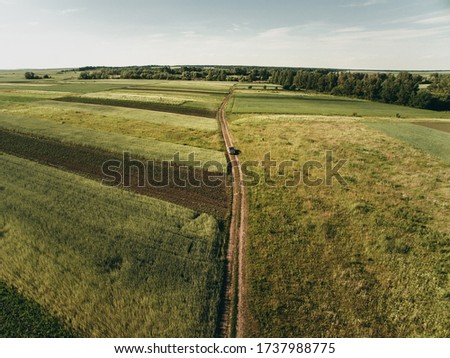 Many fields and the road on which the car goes, photo from above. Aerial photography, agriculture, summer, greenery, grass, wheat field.