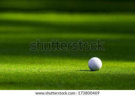 Golf ball on the green Royalty-Free Stock Photo #173800469
