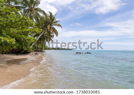Empty sandy beach, with clear waters and leaning palm trees, Samoa