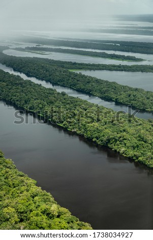 Beautiful aerial view to Negro River green Amazon island archipelago