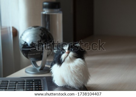 
toy cat sits at a computer at home