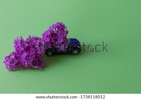 Flower power car on a green background. Lilac flower
