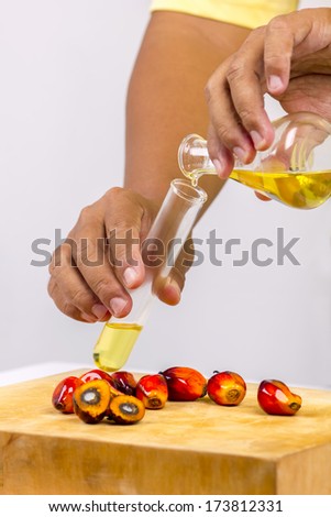 pouring yellow palm oil into a test tube glass 