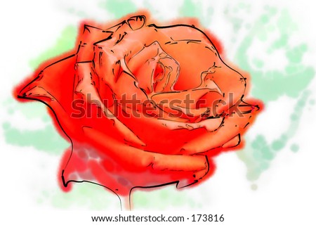Stylised illustration of a red rose...