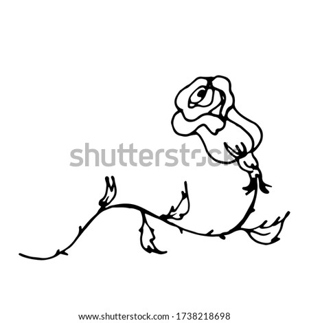 vector hand-drawn cartoon beautiful rose with leaves. a single decorative Doodle element isolated on a white background