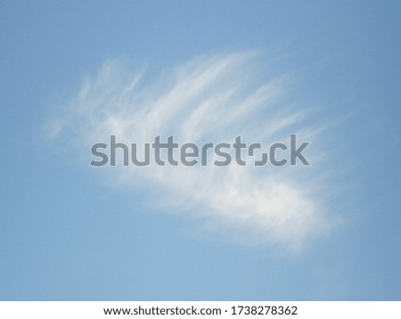 Cirrus clouds against the blue sky. Concept of freedom, airiness, cleanliness. Copy space
