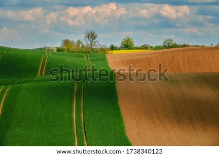The rural landscape, the picture shows wavy arable fields, Poland around Sztum