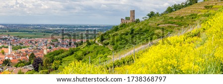 Schriesheim Strahlenburg old Ruins on vineyard and Mannheim background, banner