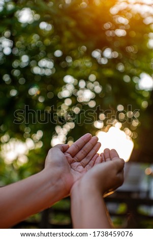 Technology,   Hands holding  globe of tropical nature summer background,